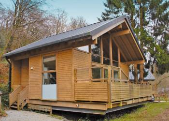 Click here for more about Golden Oak 2