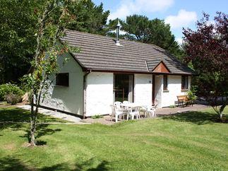 Click here for more about Beech Croft