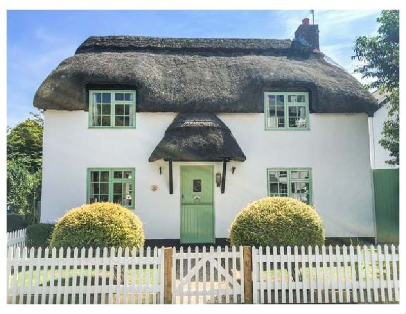 Click here for more about Thatchings