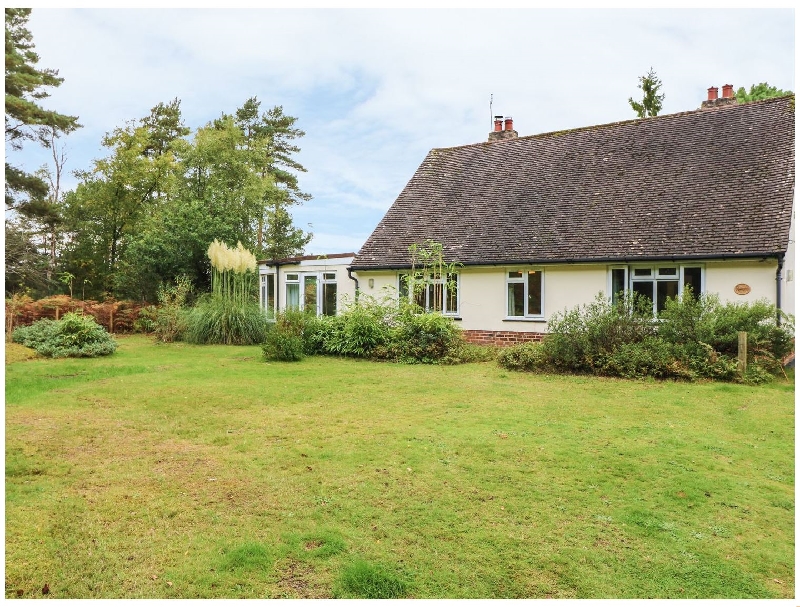 Click here for more about The Rowans