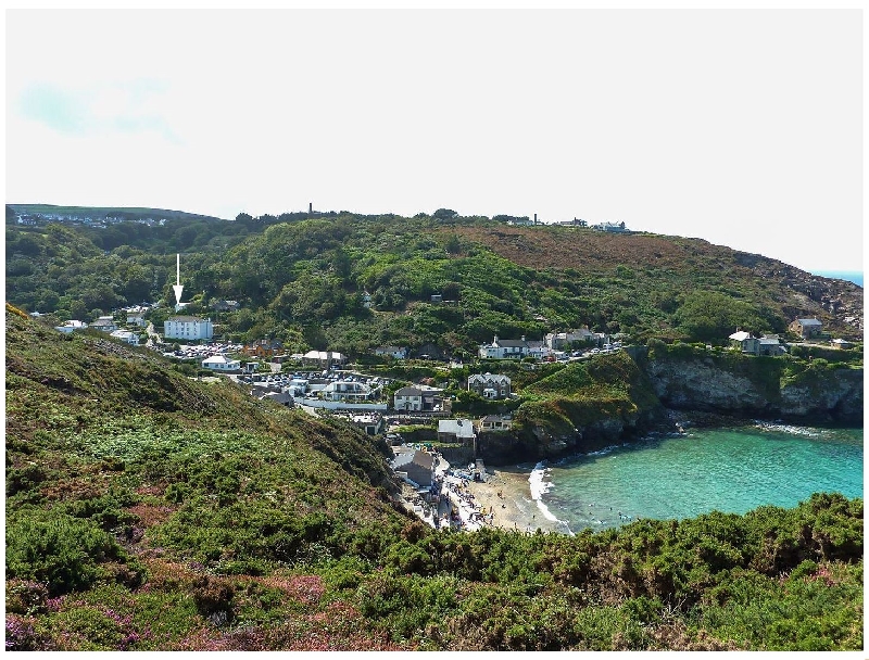 Click here for more about Sea Thrift