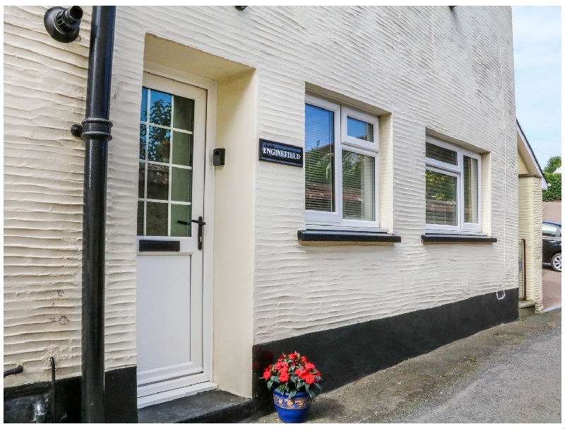 Click here for more about Enginefield