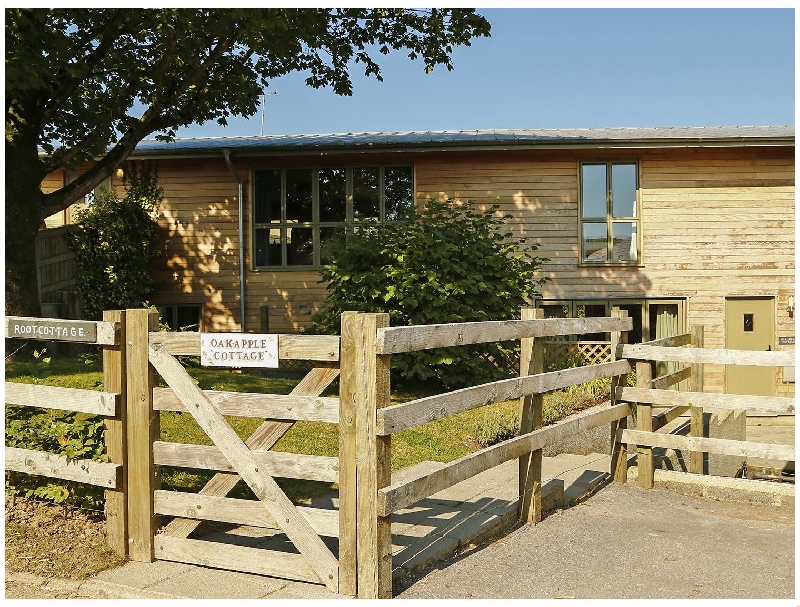 Click here for more about Oak Apple